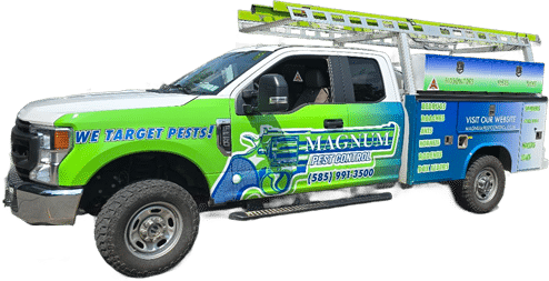 Magnum Pest Control Service Vehicle Magnum Pest Control Service Vehicle