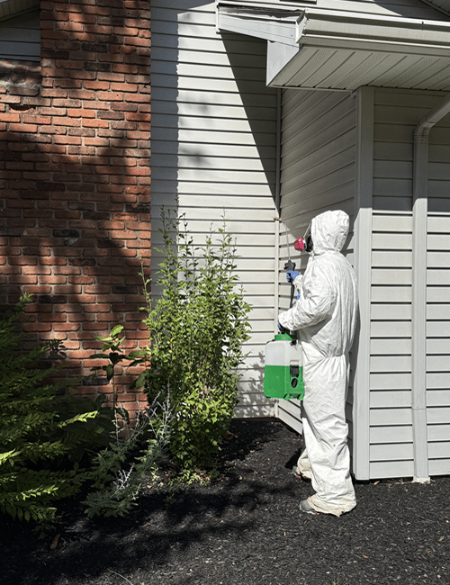A Magnum Pest Control technician exterminating a wasp nest inside a home's siding in Western NY A Magnum Pest Control technician exterminating a wasp nest inside a home's siding in Western NY