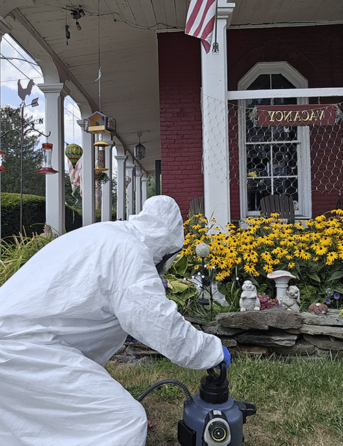 A Magnum Pest Control technician searching for ants in a home garden A Magnum Pest Control technician searching for ants in a home garden